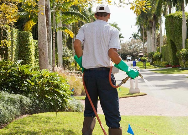 About Marion KY Pest Control Pros